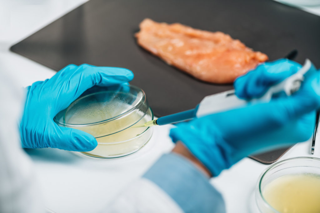 Testing for E coli or salmonella in chicken meat. Seward Stomacher®